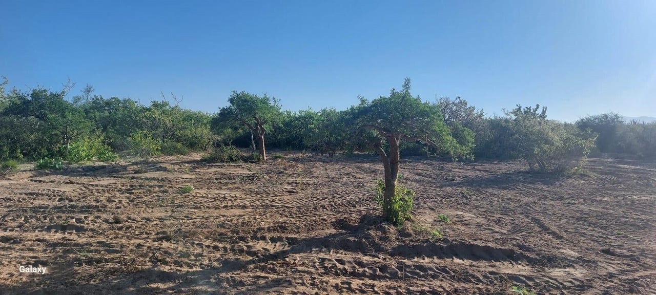 Las Playitas Nature Lot
