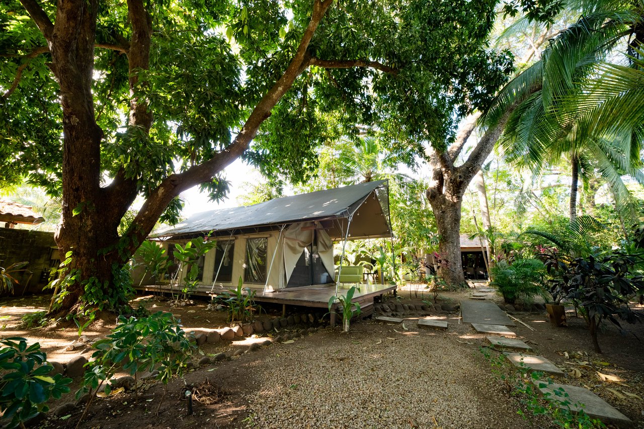 Hotel Curiol | Turnkey Boutique Jungle Hotel with Restaurant & Bar in Potrero