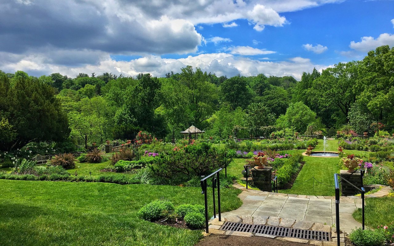 Chestnut Hill