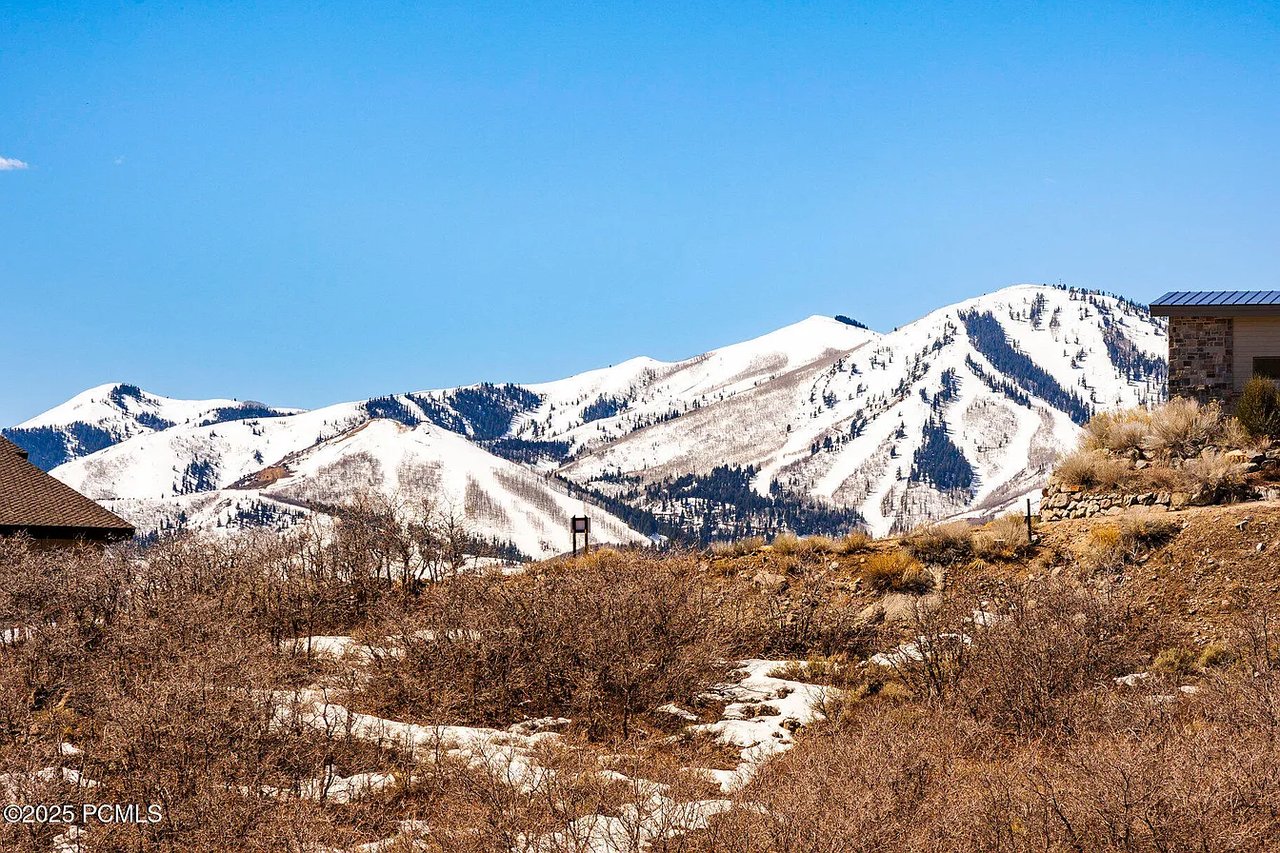 11463 N Fox Hollow Ct