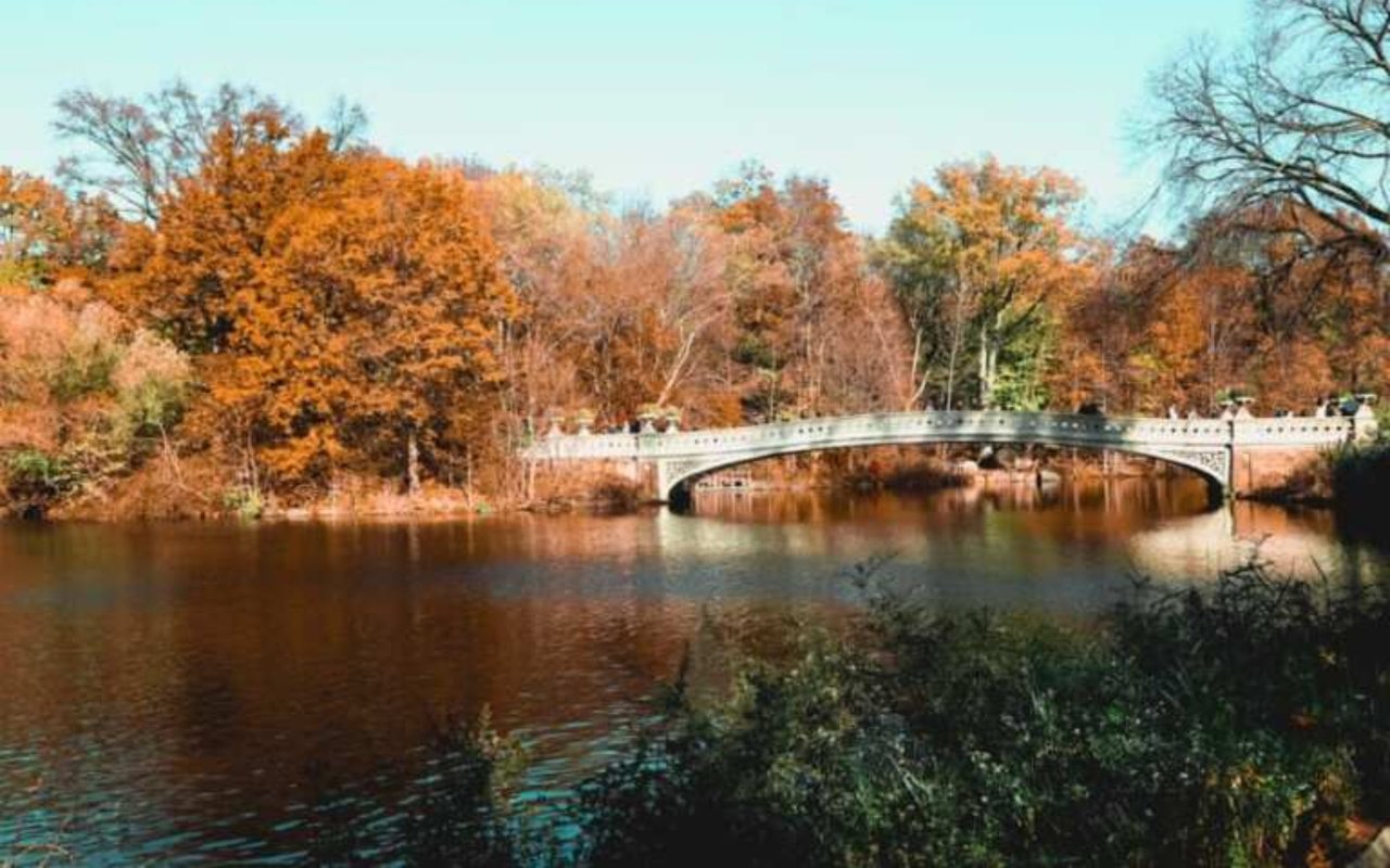 Monthly Newsletter - September 2025