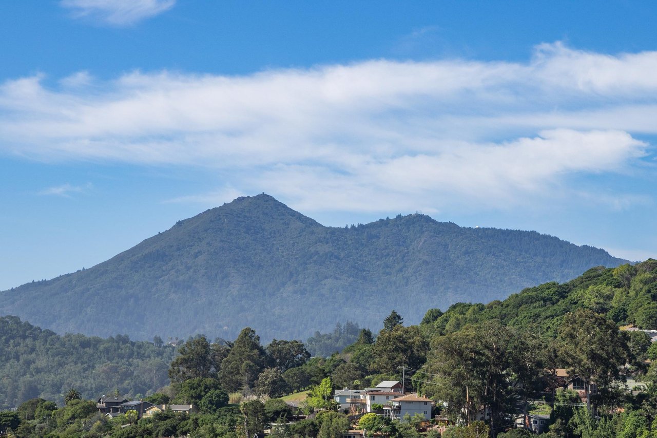 Dominican - Coming Soon