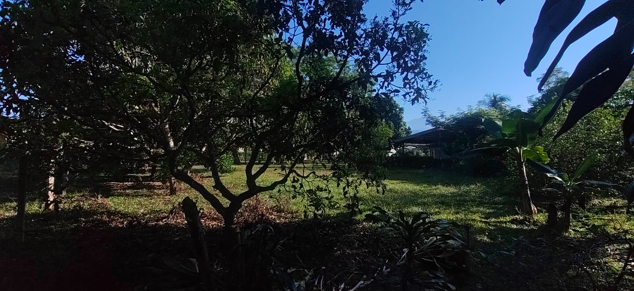 PRIME 1,100 M² LOT IN RESIDENCIAL LOS VIEJOS – FLAT, PRIVATE, AND READY TO BUILD