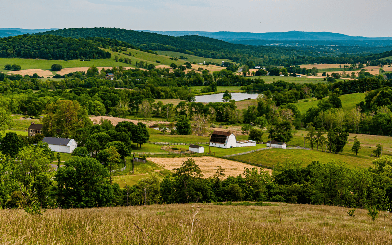 Buckingham Township
