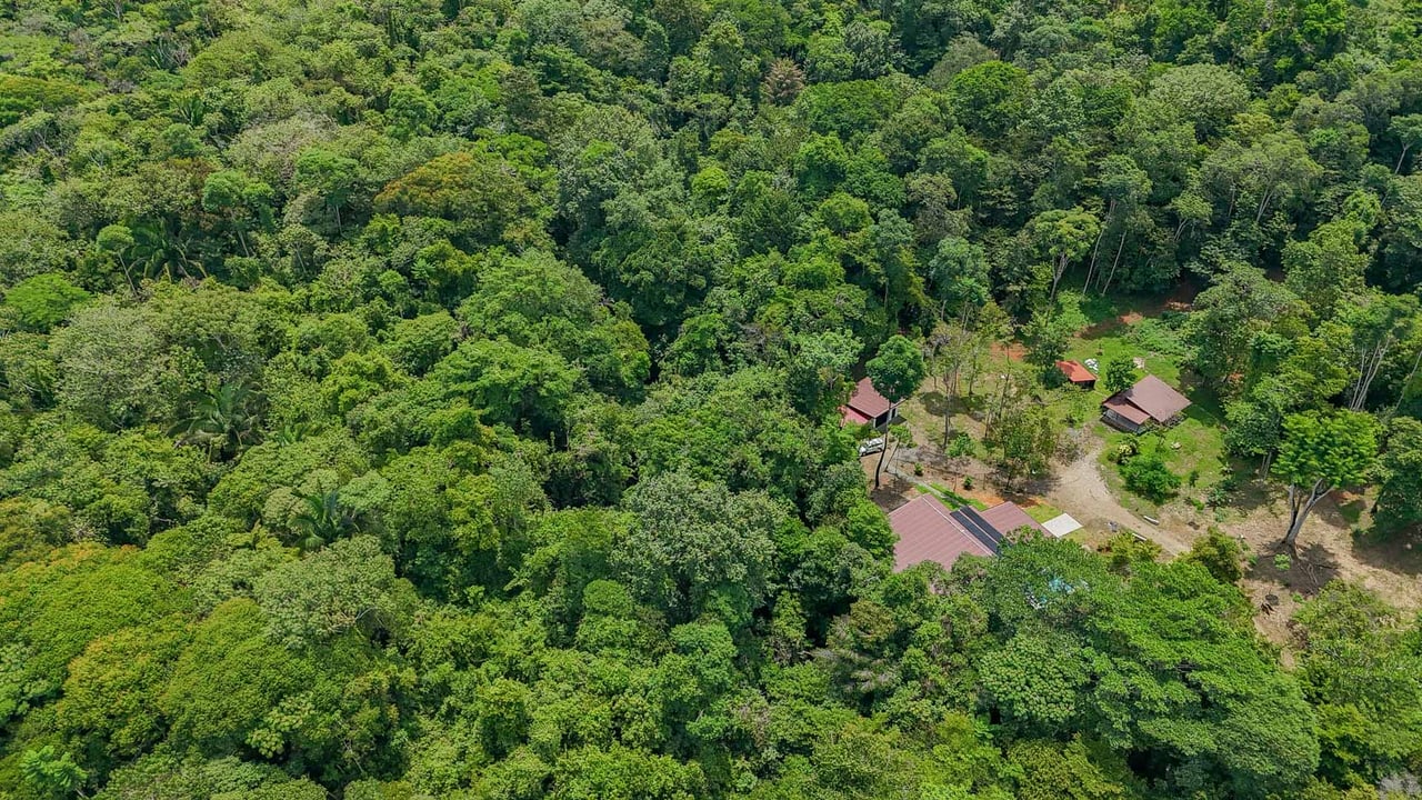 Jungle Home with Riverfront and Orchard in Ojochal Costa Rica