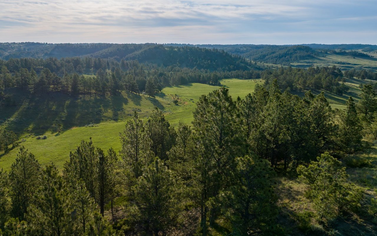 Elk Rich Ranch