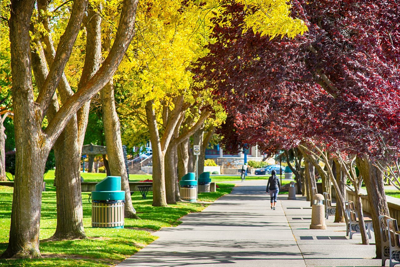 The Benefits of Living in a Walkable Community