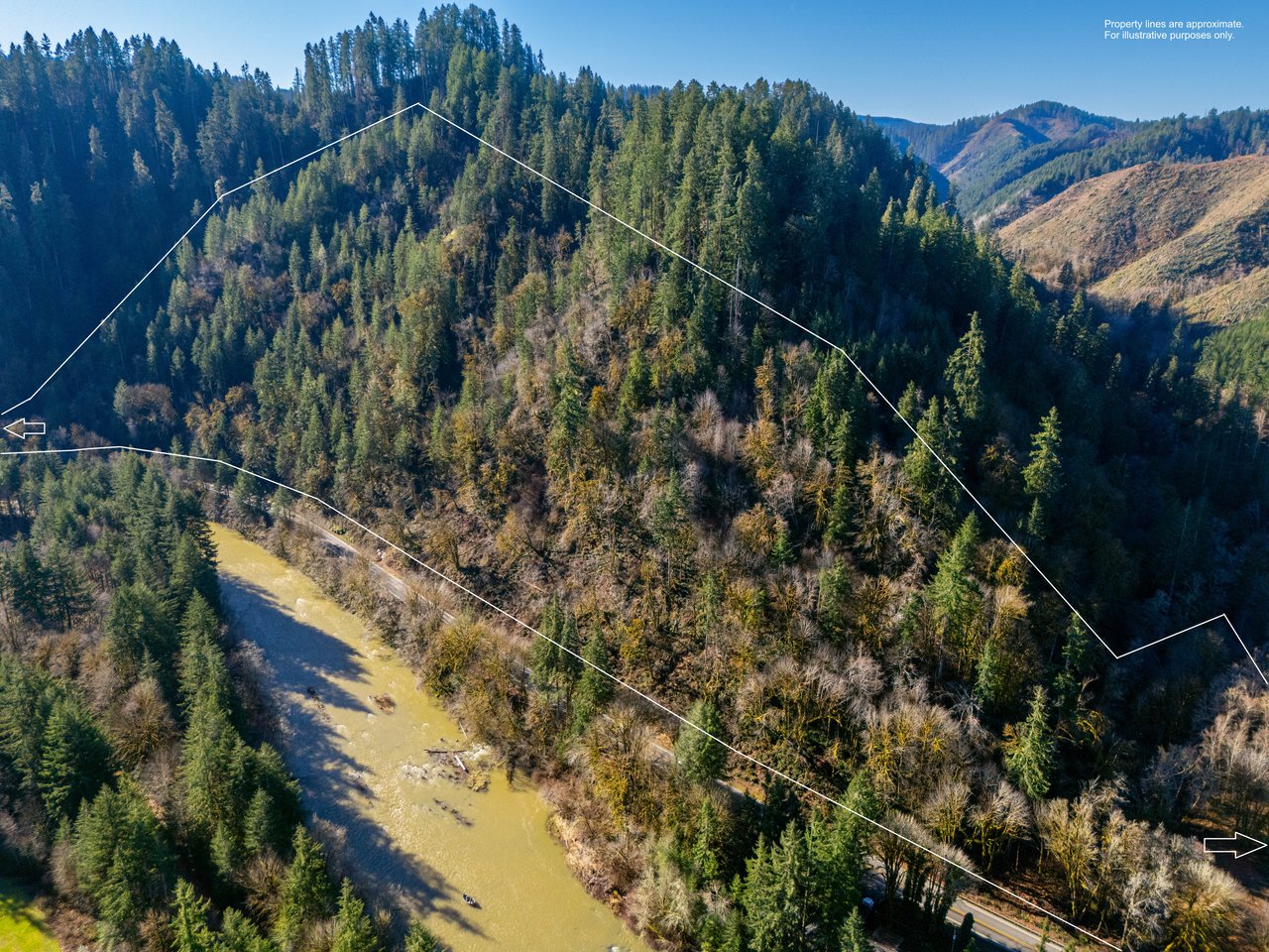 Waite Creek Woodlands