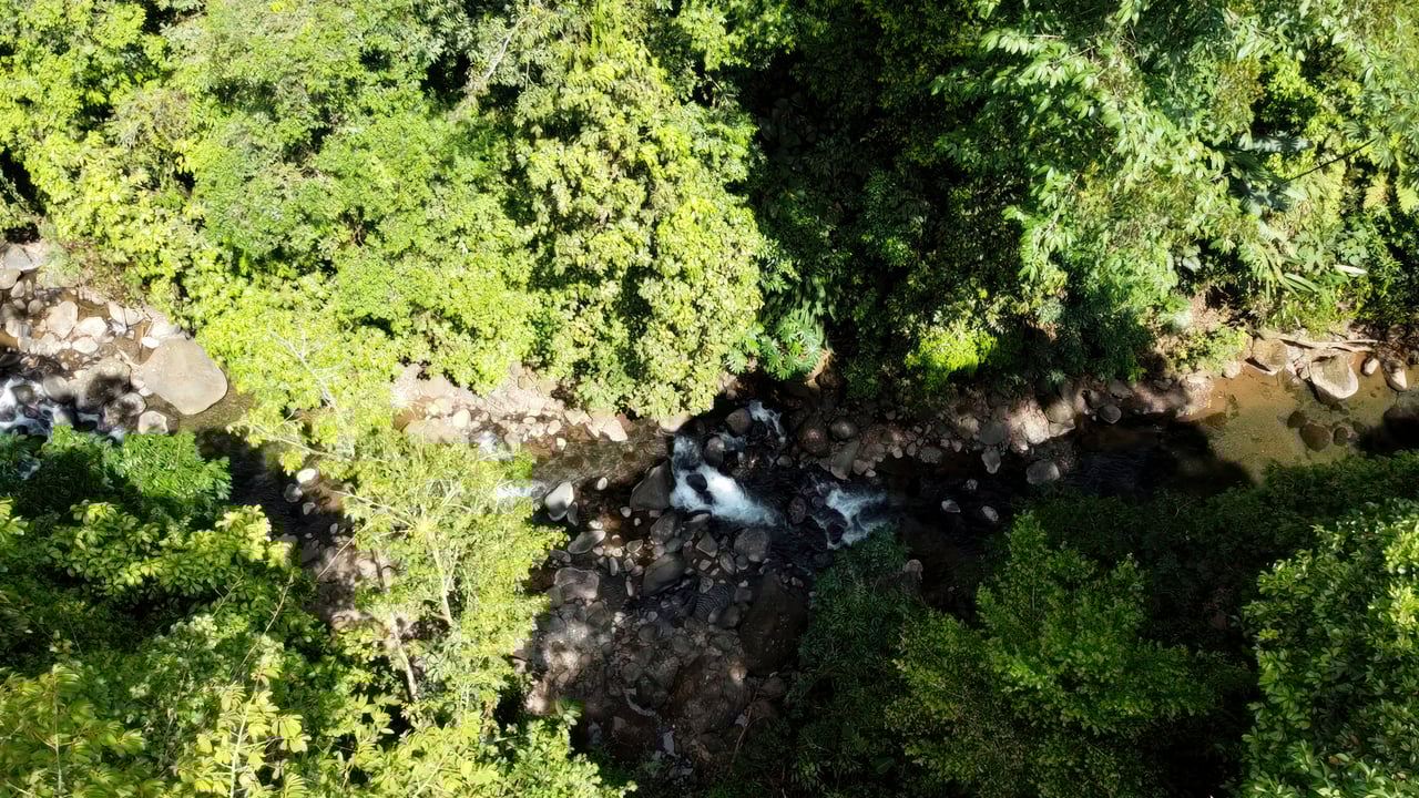 Conservation Only | $1 per Square Meter (61,77 acres)