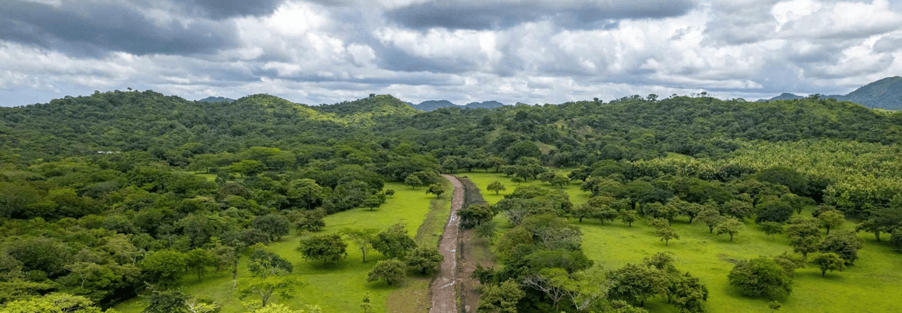 Rancho Roble Sabana