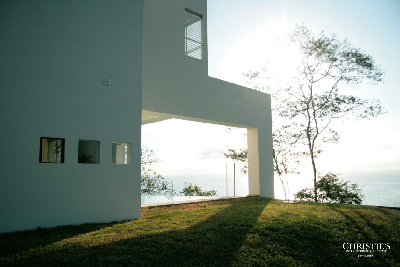 Jungle and Ocean Architectural Masterpiece