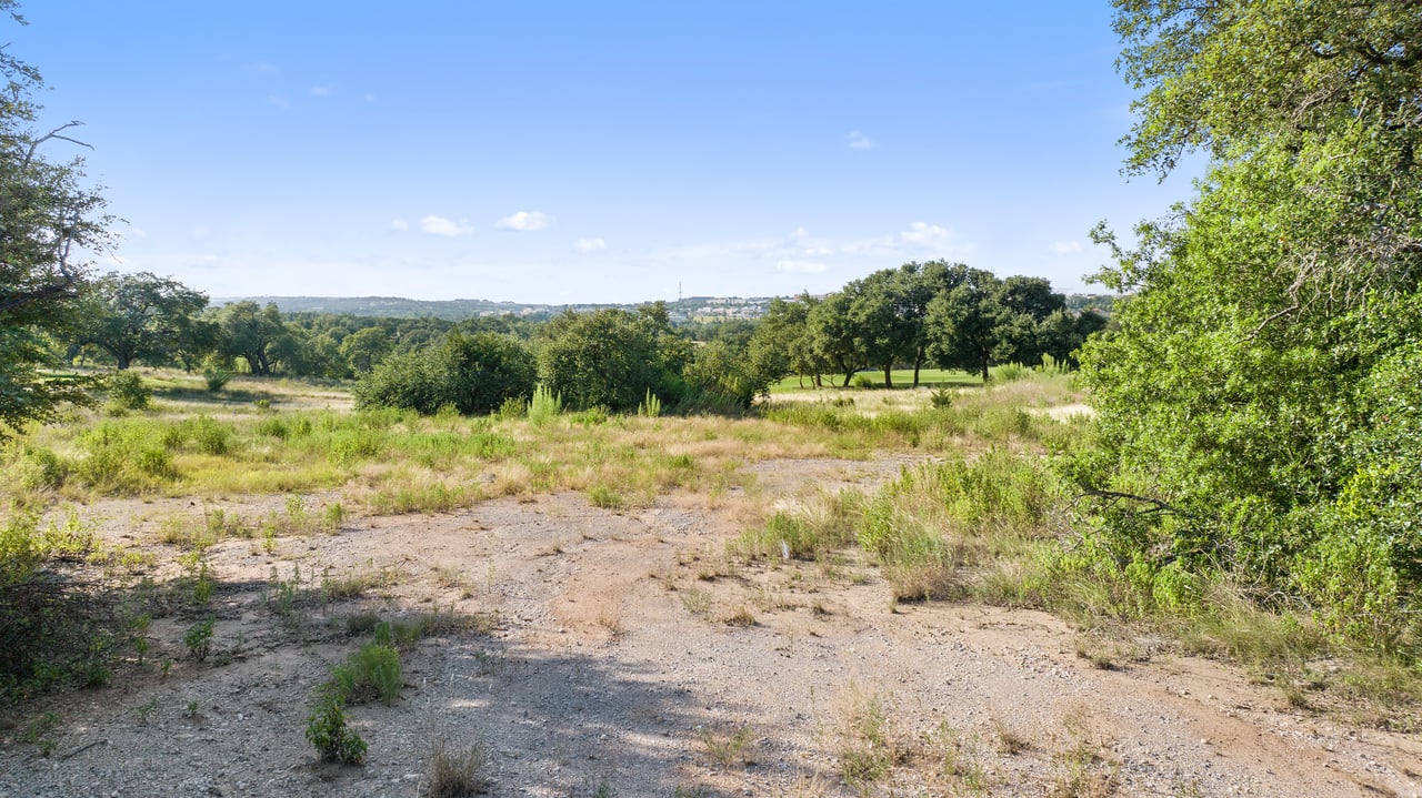 12801 Flowering Senna BND