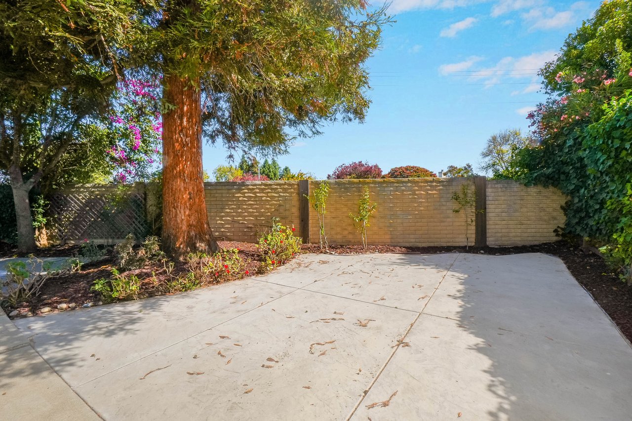 Concrete backyard patio bordered by a tan wall, mature trees, and flowering shrubs.