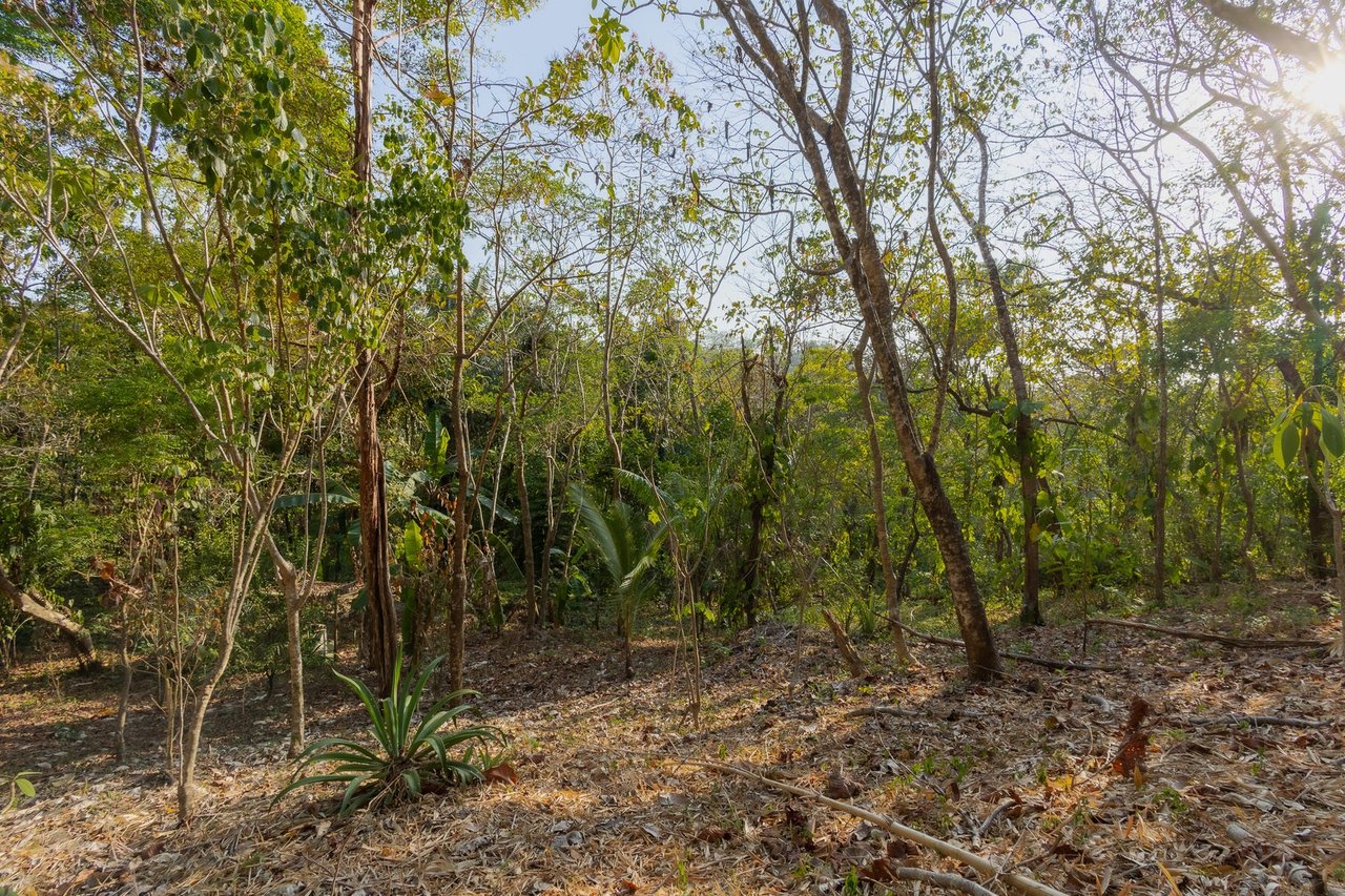 Exclusive Ocean View Development Homesite, Santa Teresa, Puntarenas