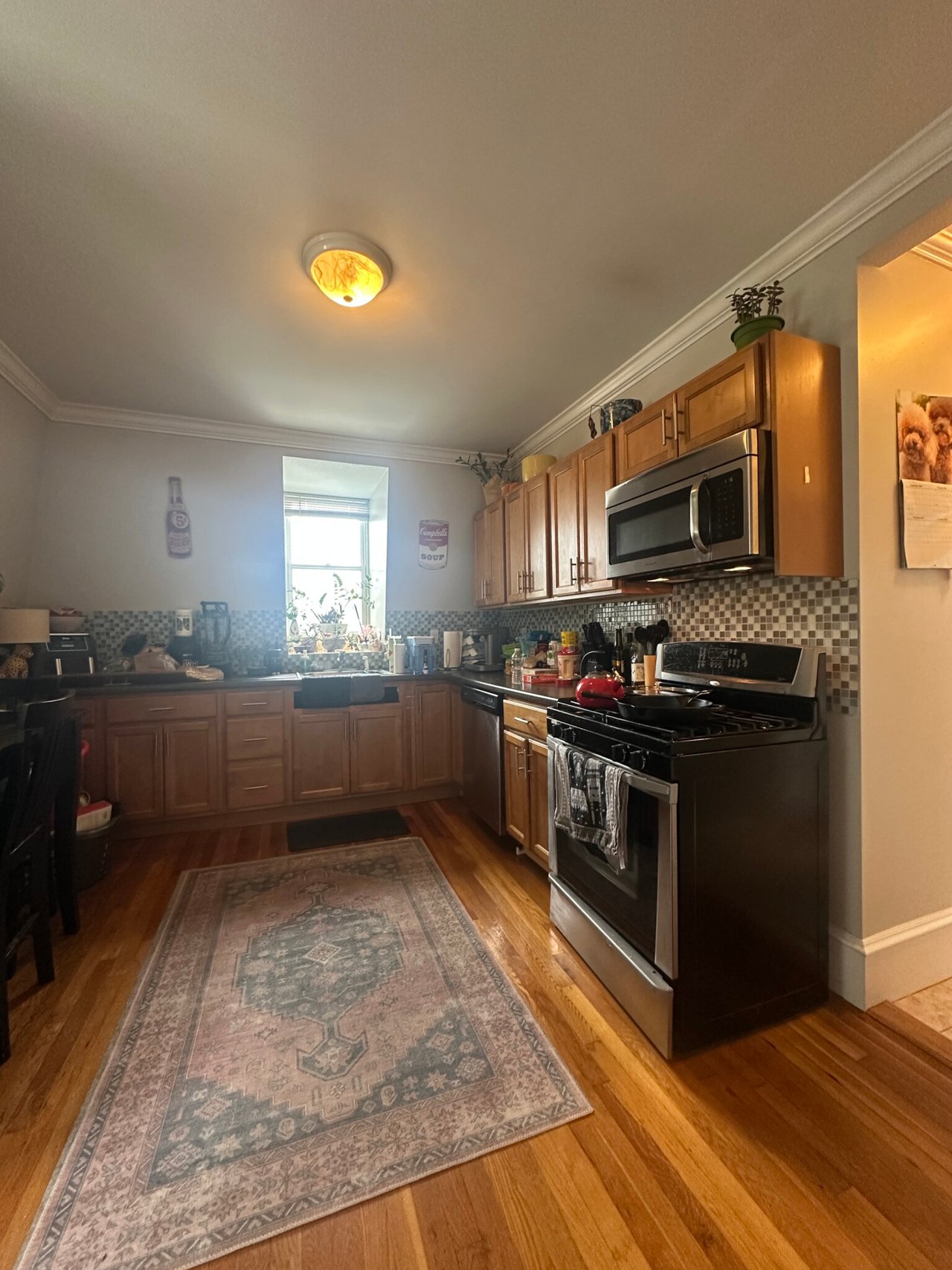 33 Bigelow St #3