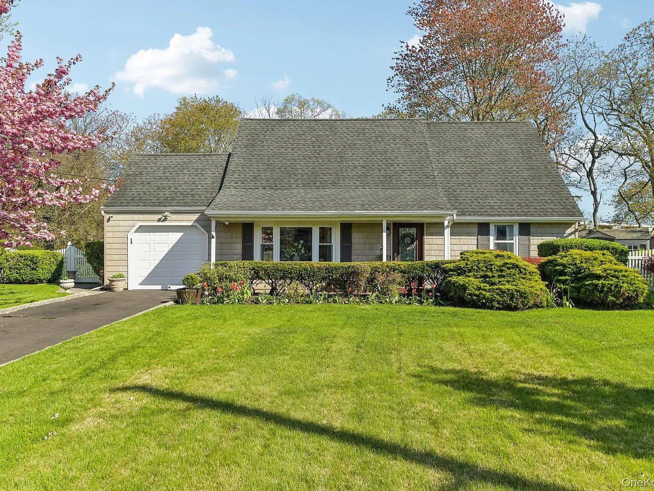 41 Orchid Rd