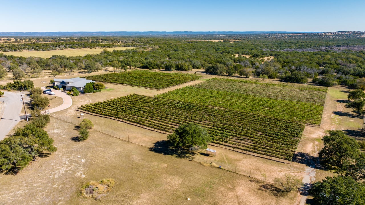 Round Mountain Vineyard