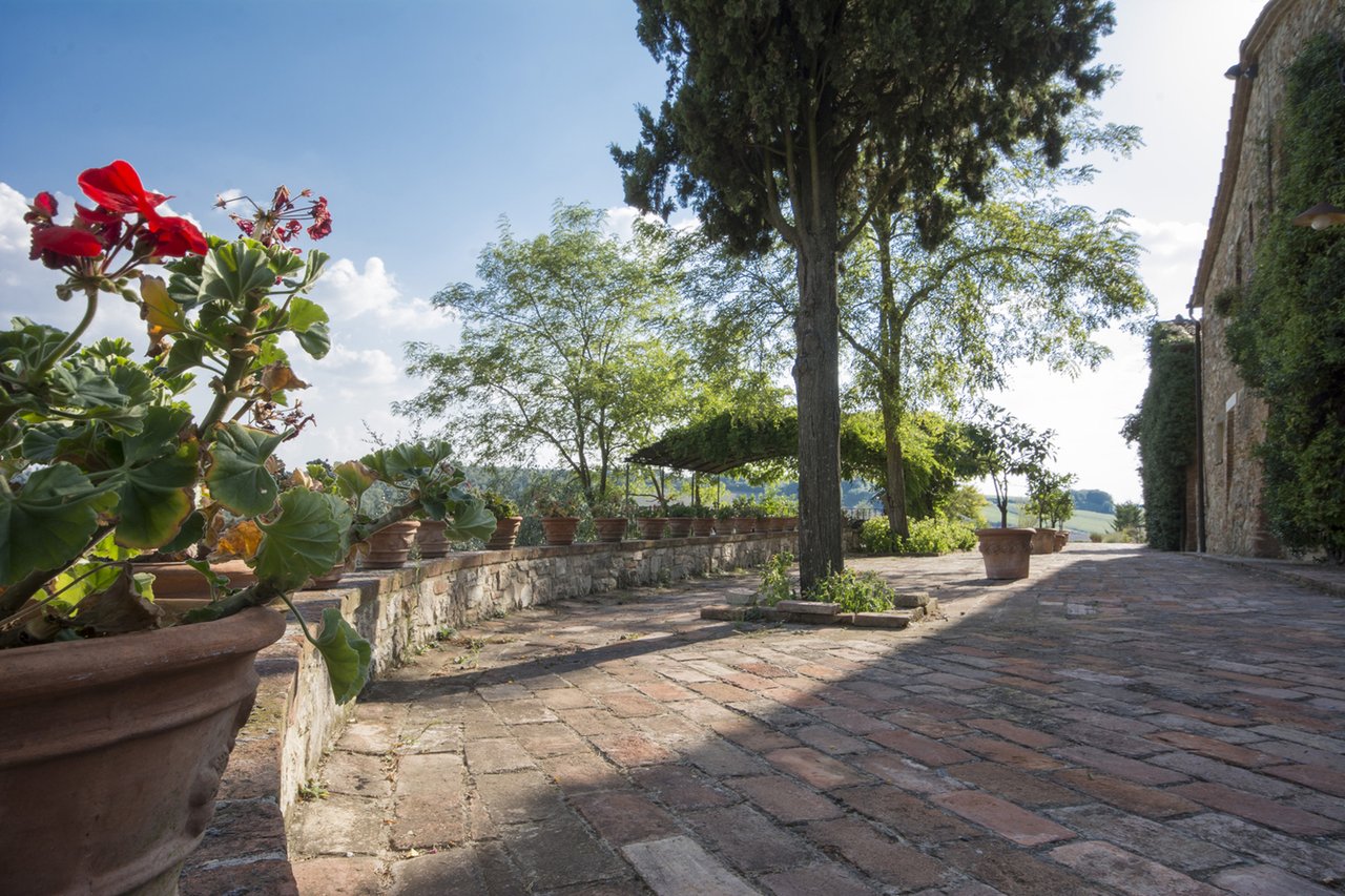 Tenuta Malacoda; Wine & Agricultural Estate