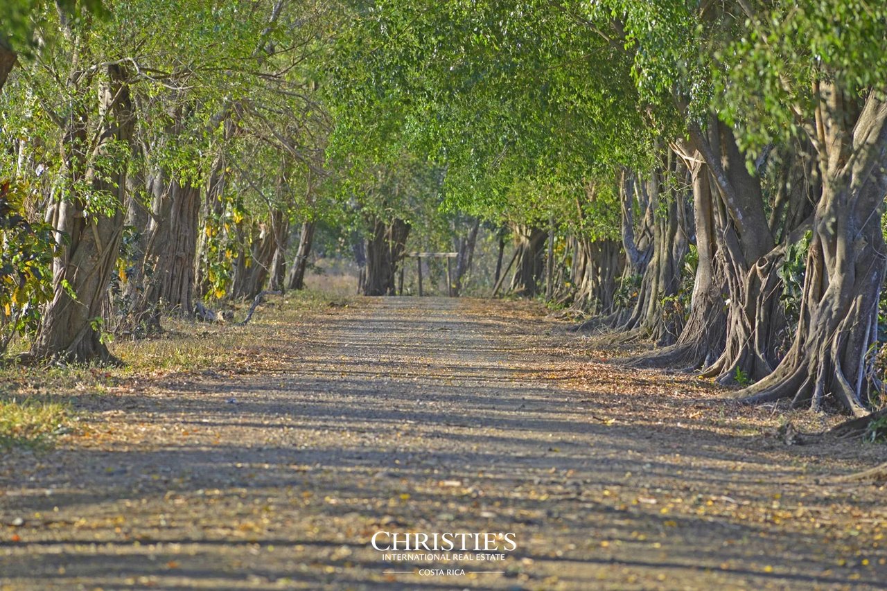 Finca Austria - A 149-Acre Private Estate with Residences, Infrastructure & Expansion Potential.