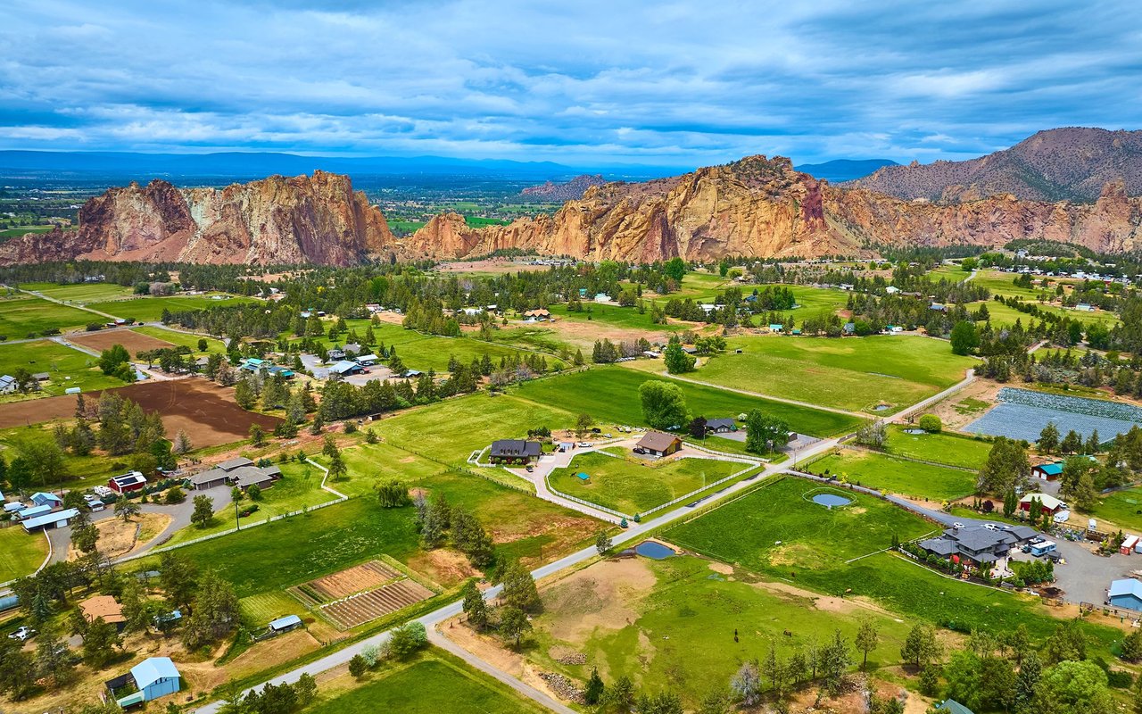 Angus Acres