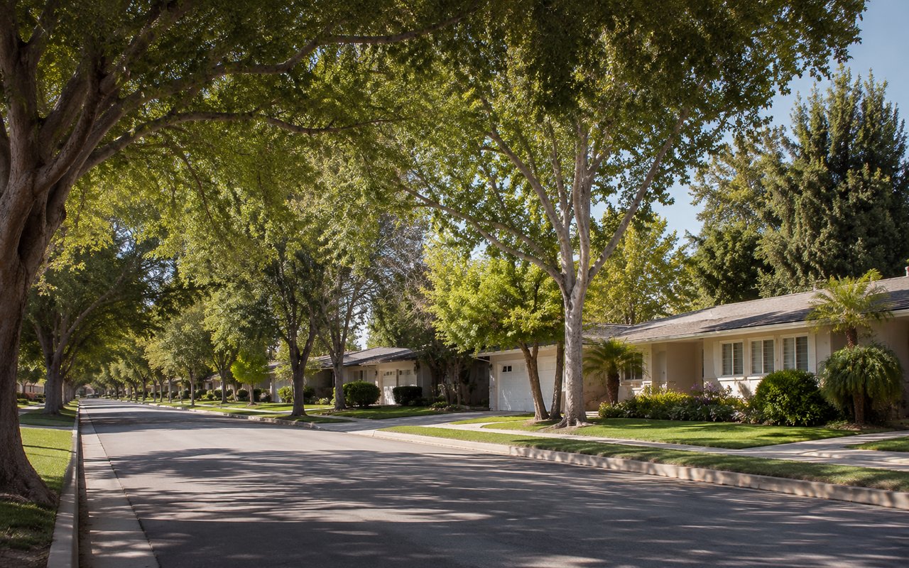 Tree-lined residential street in Sherman Oaks California with single-family homes