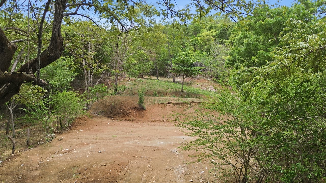 3.4 Acres of Quiet Country Living | 12 minutes from the Beach - Tempate 