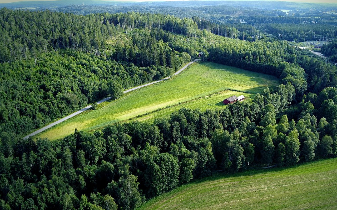Aerial view of a green field and red barn surrounded by dense forest.
