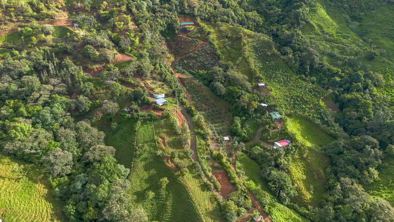 10.21 Acres with Views & Plantels – Pérez Zeledón