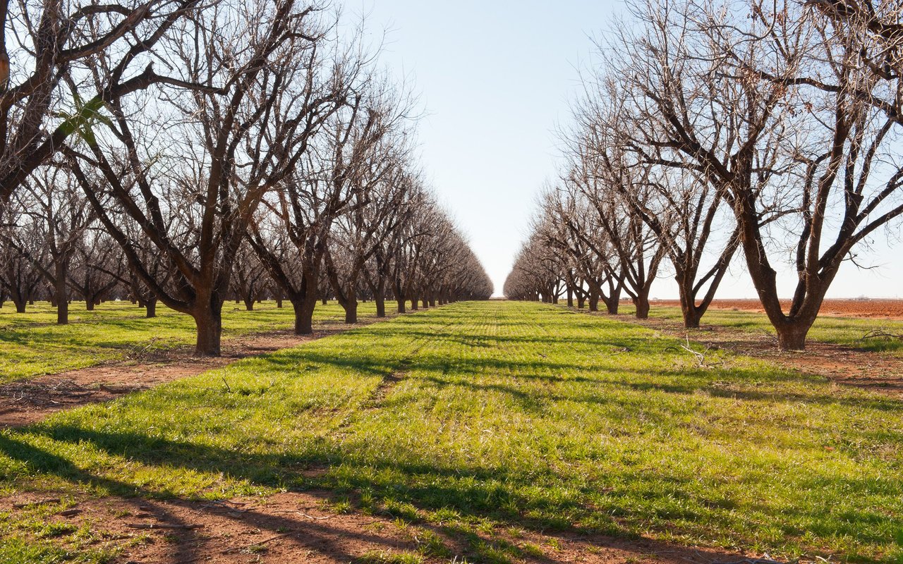 Brookshire