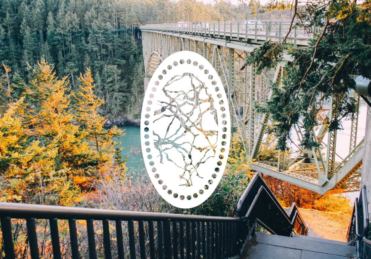 What Types of Homes Can You Buy in Oak Harbor?