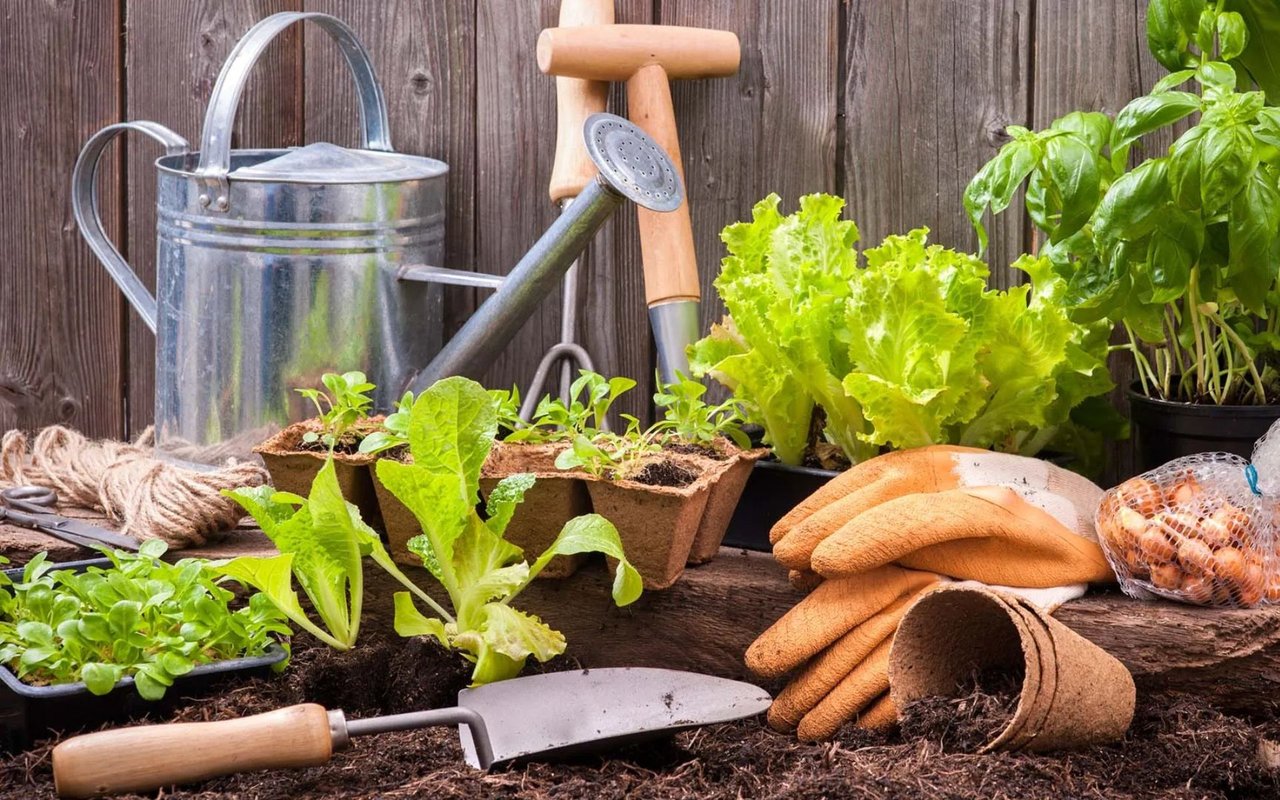 2022 Garden Trends