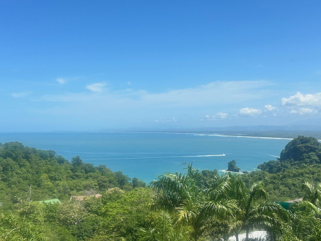 Prime Manuel Antonio Ocean-View Land with Development Approvals 
