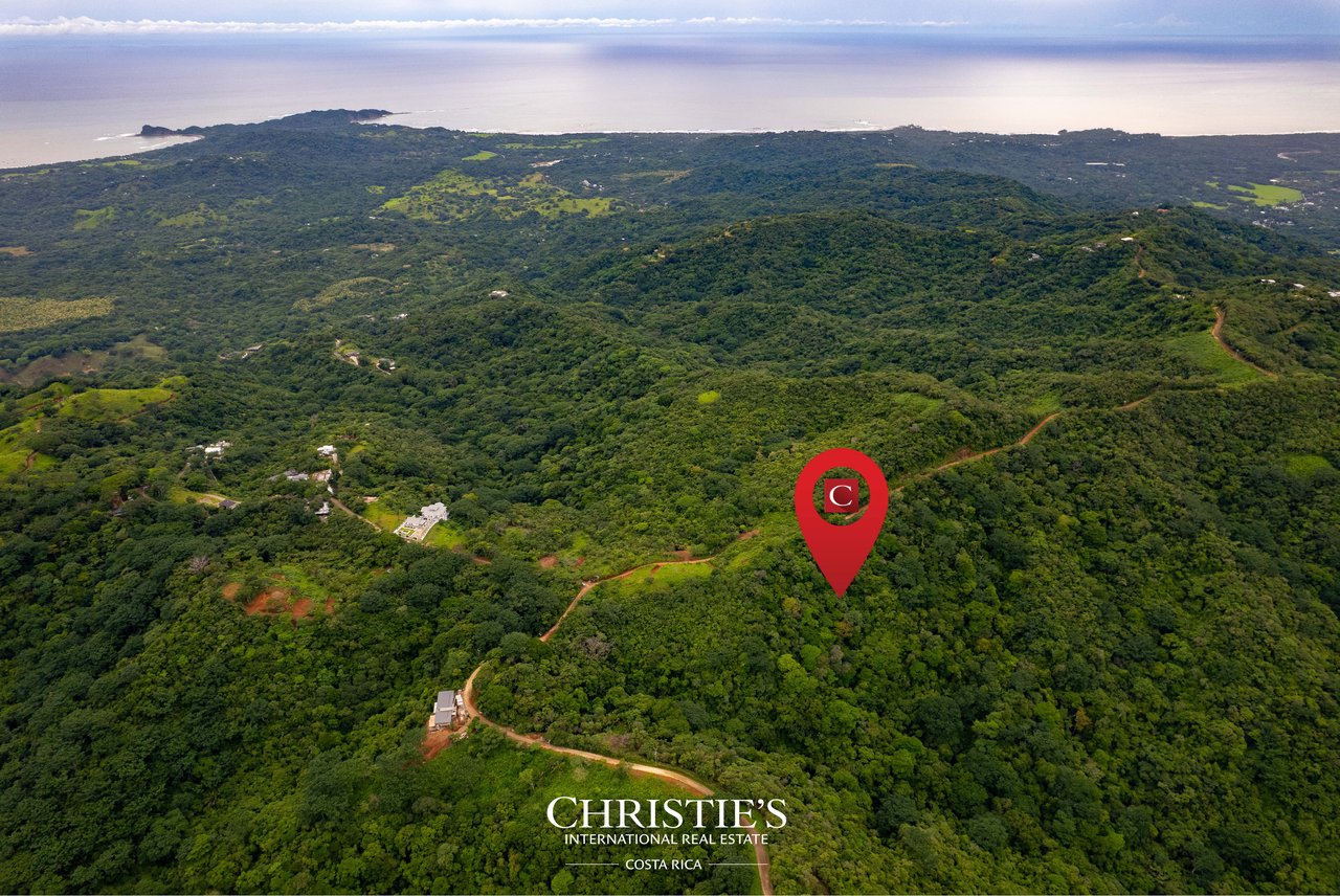 Finca El Toledo – A Signature Property for Visionary Development
