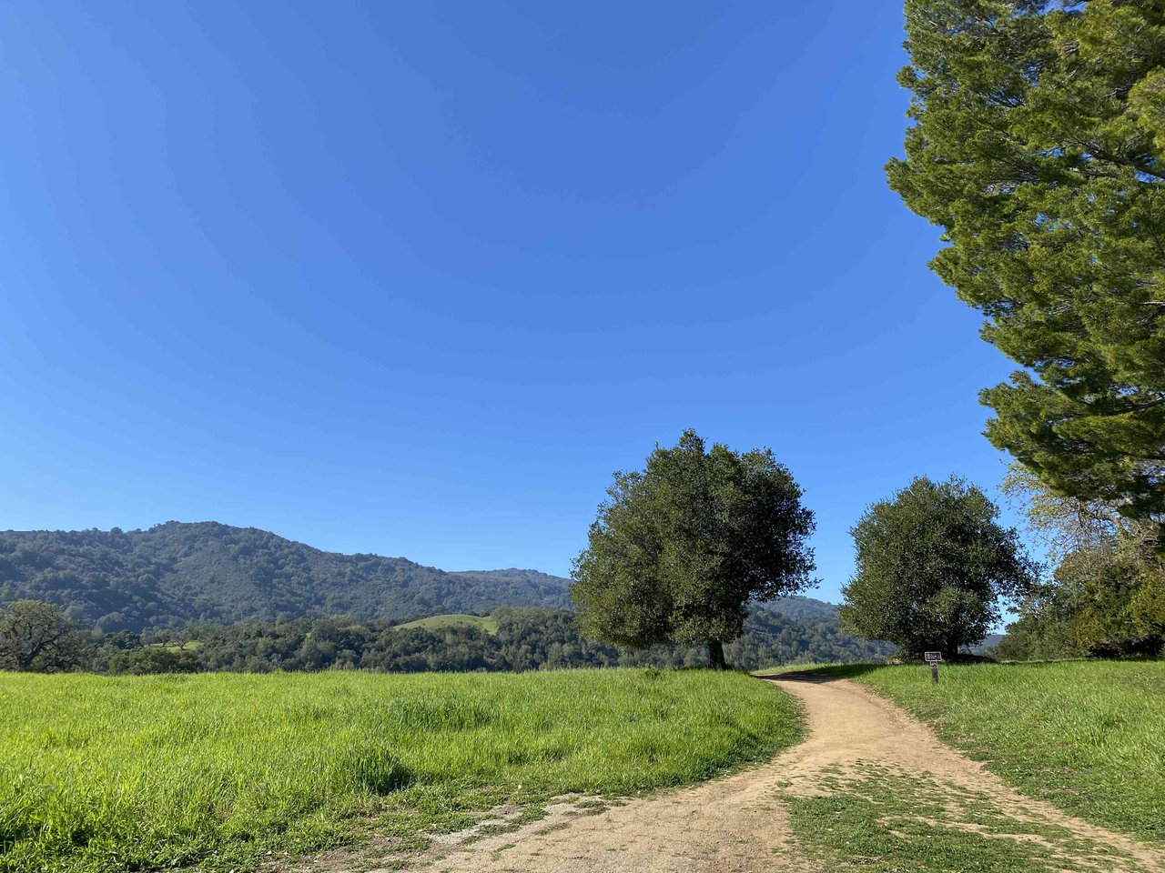 Must-Visit Parks in Los Altos