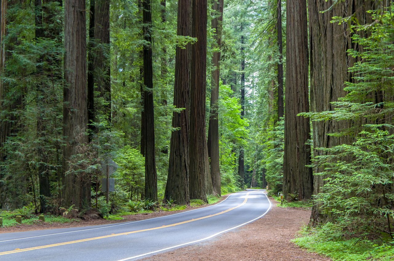 Humboldt County