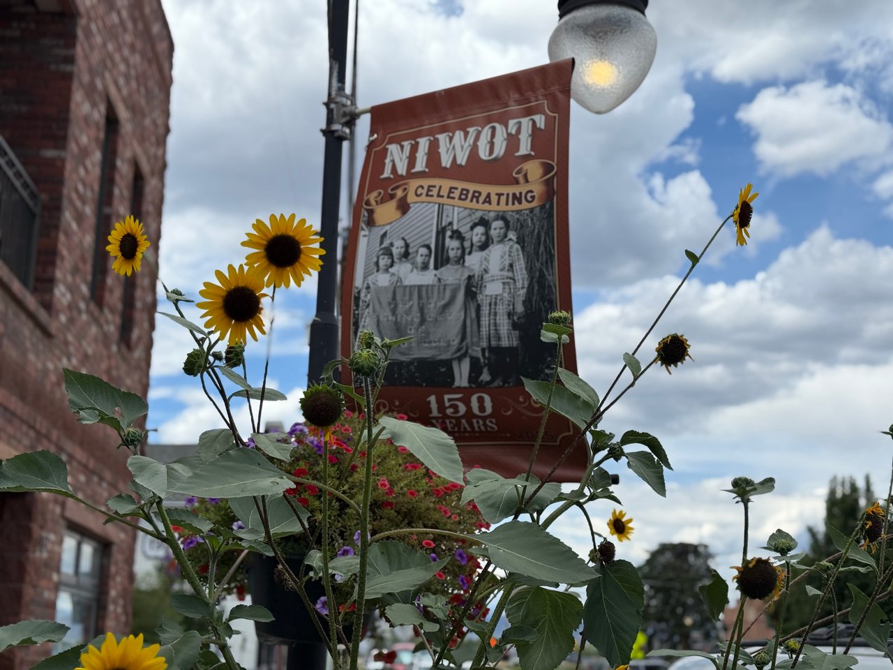 Who's Buying in Niwot Right now? November 2025