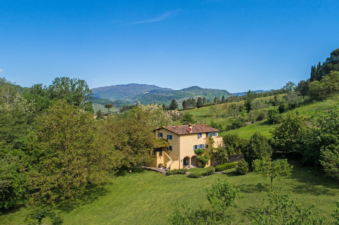 IL MULINO FIORENTINO