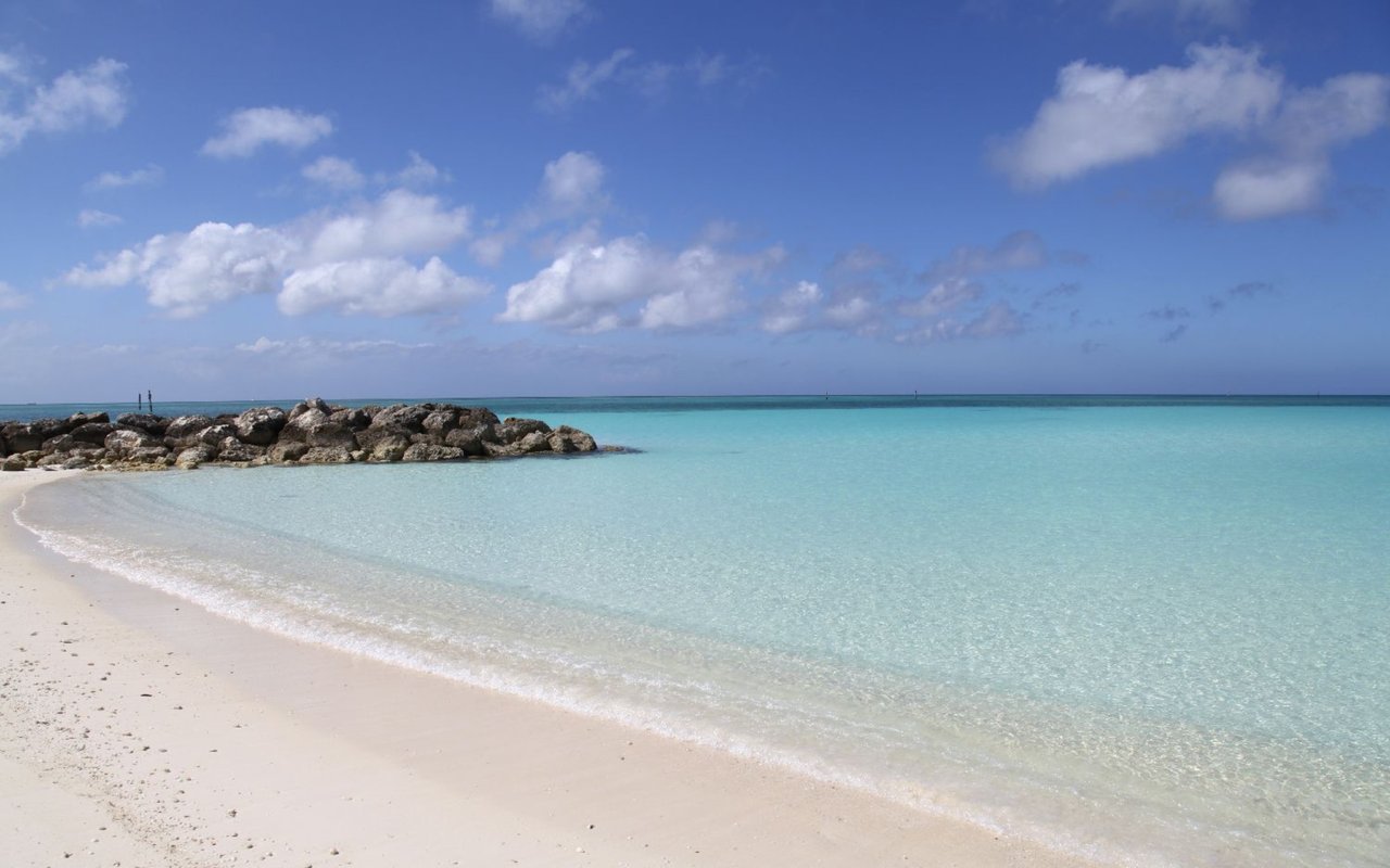 We're Local & Global