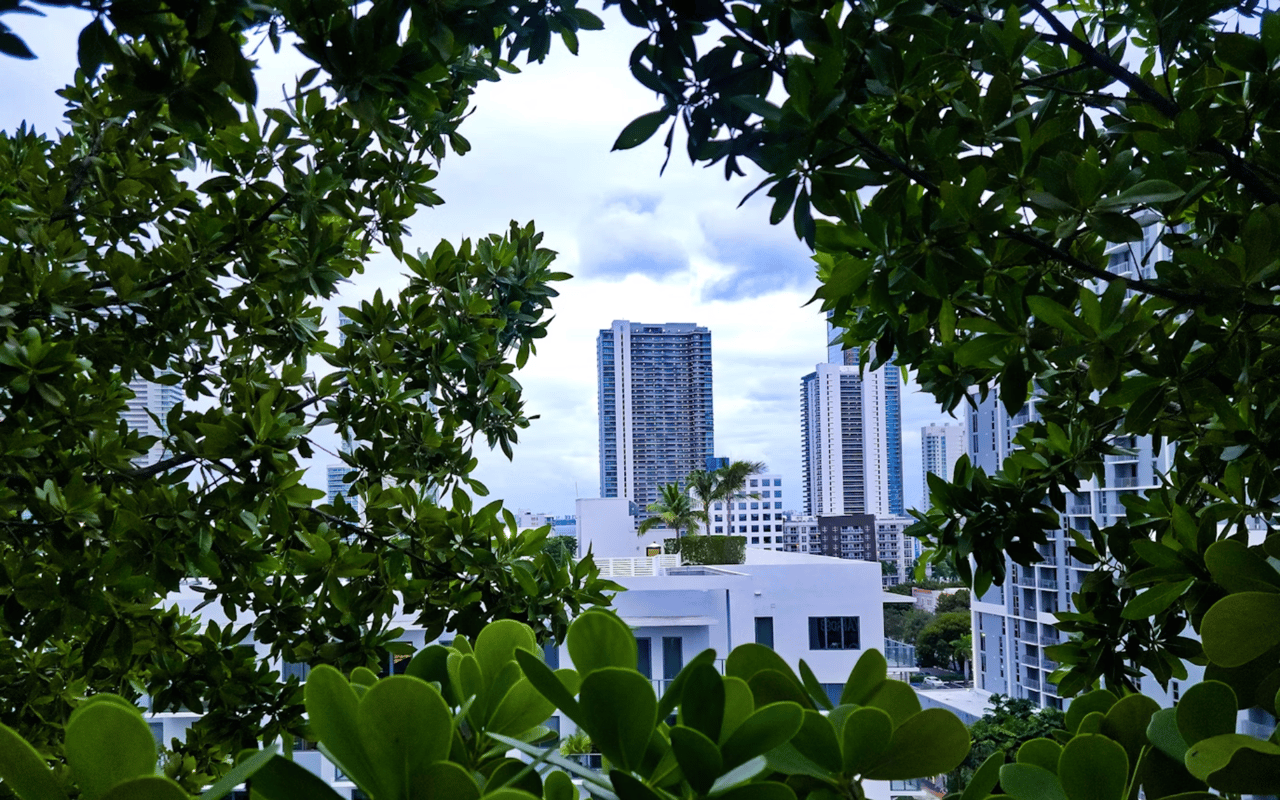 Buying a Home in Coconut Grove, FL