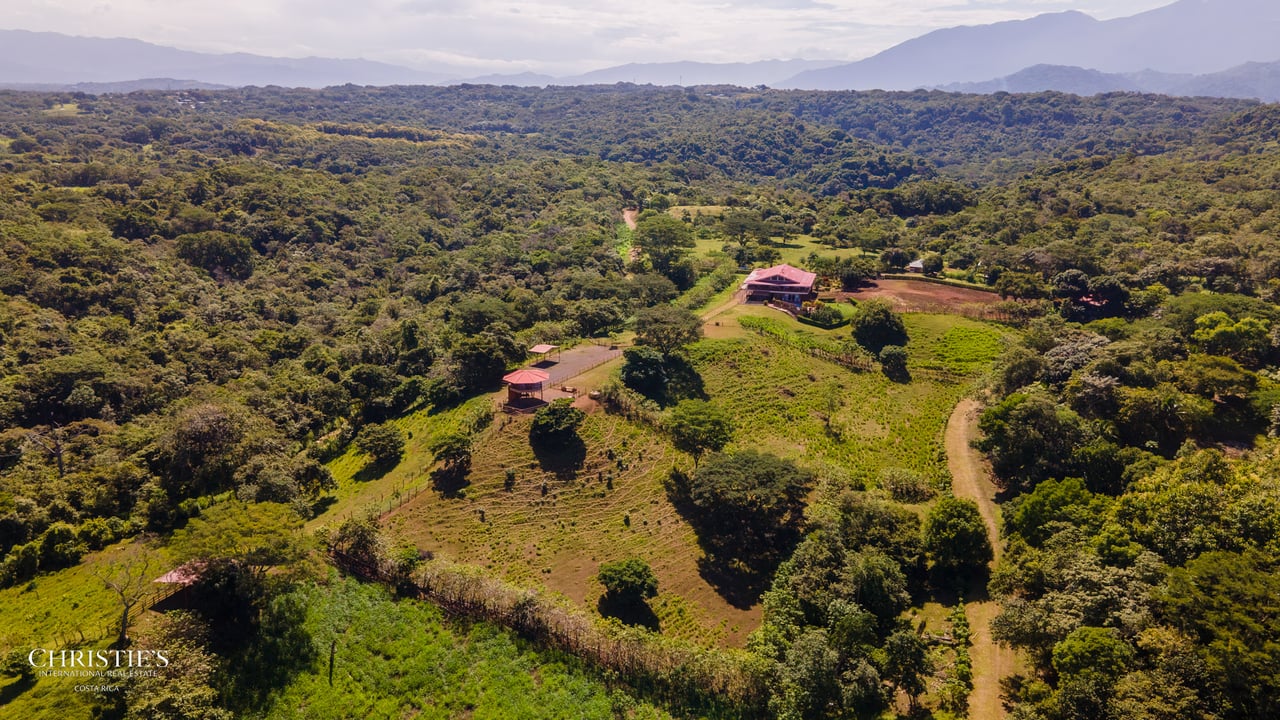 Finca Sweet Prince – A Private Equestrian Estate of Unmatched Elegance
