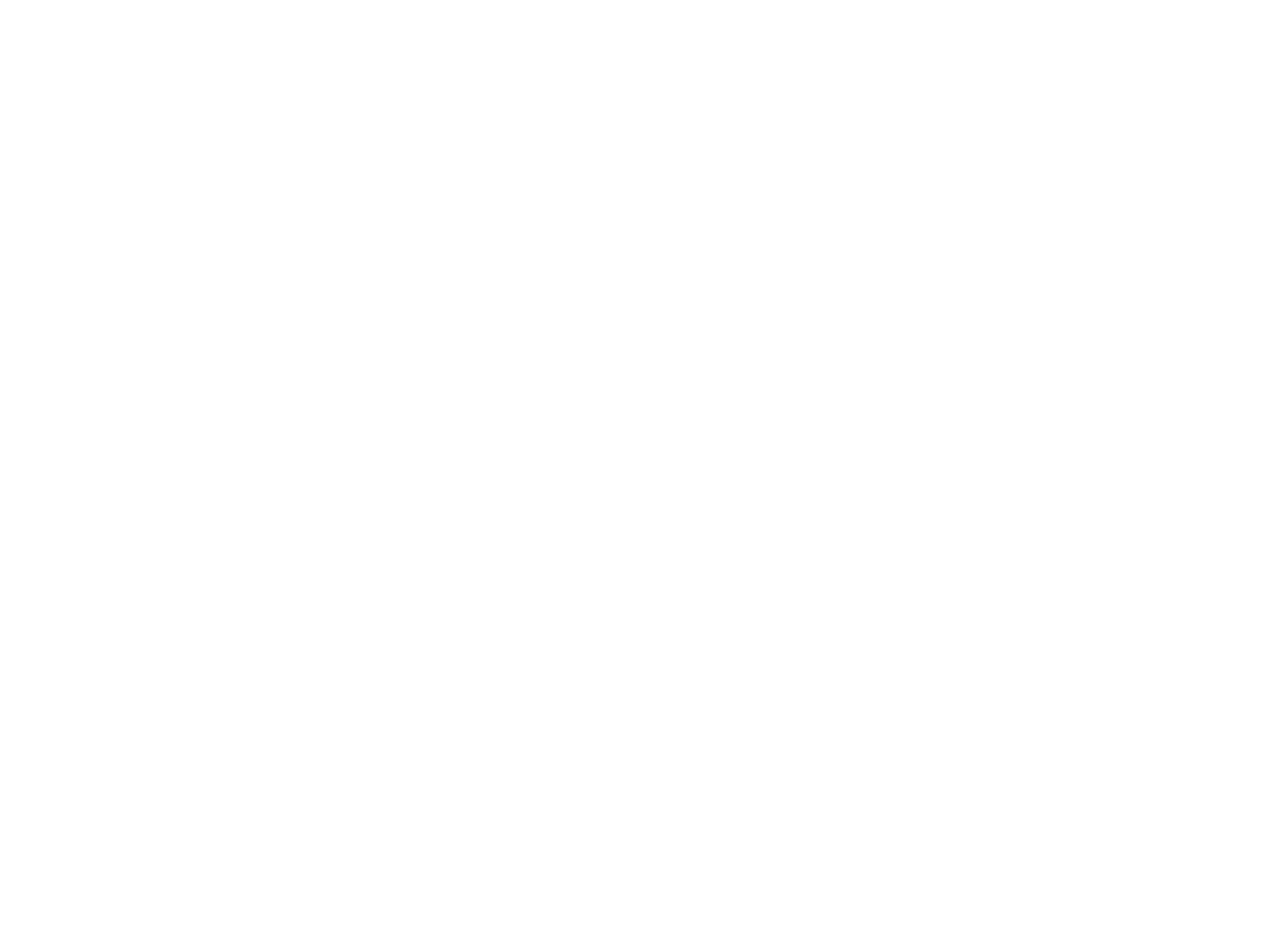 Light Logo