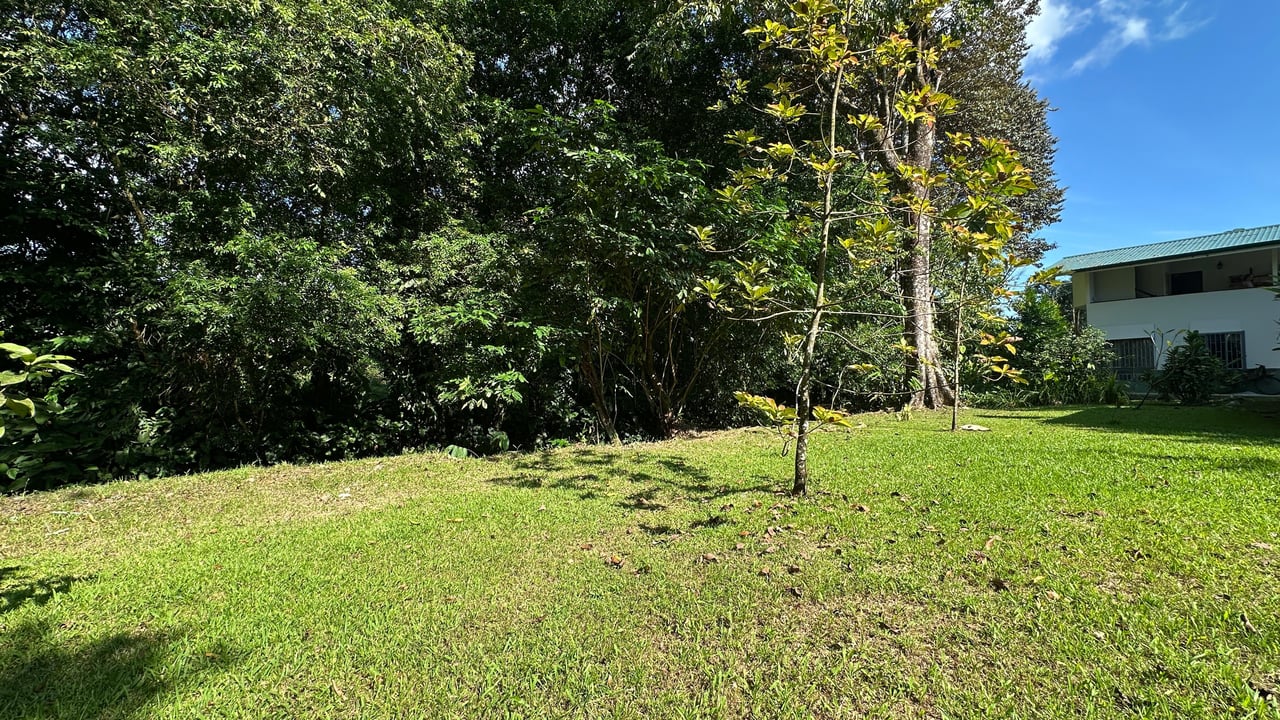 Breeze, Trees, and Monkeys - Your Affordable Costa Rican Haven