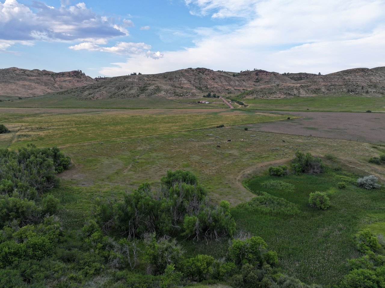 Dutch Creek Ranch 
