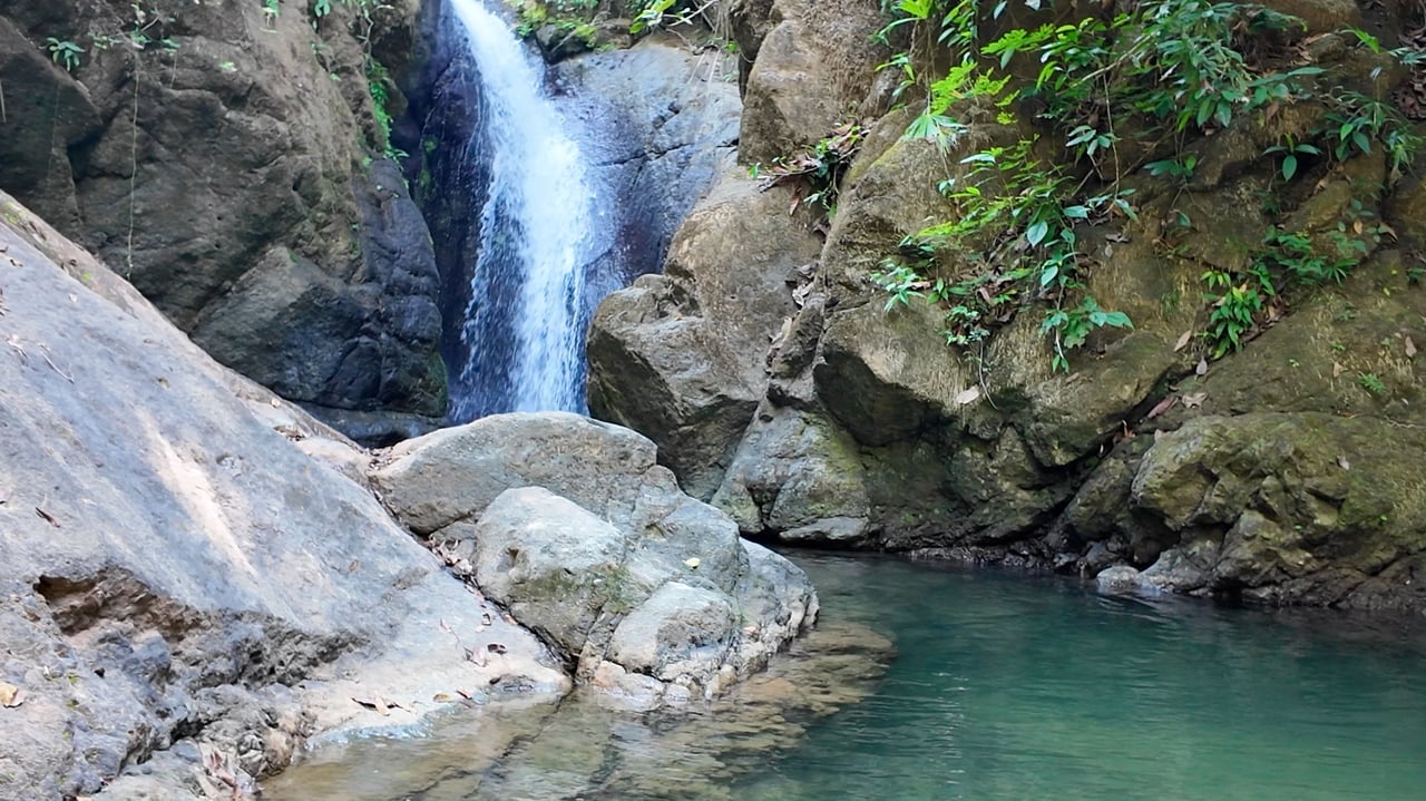 Beautiful 2 Acre Ocean View Lot inset into nature