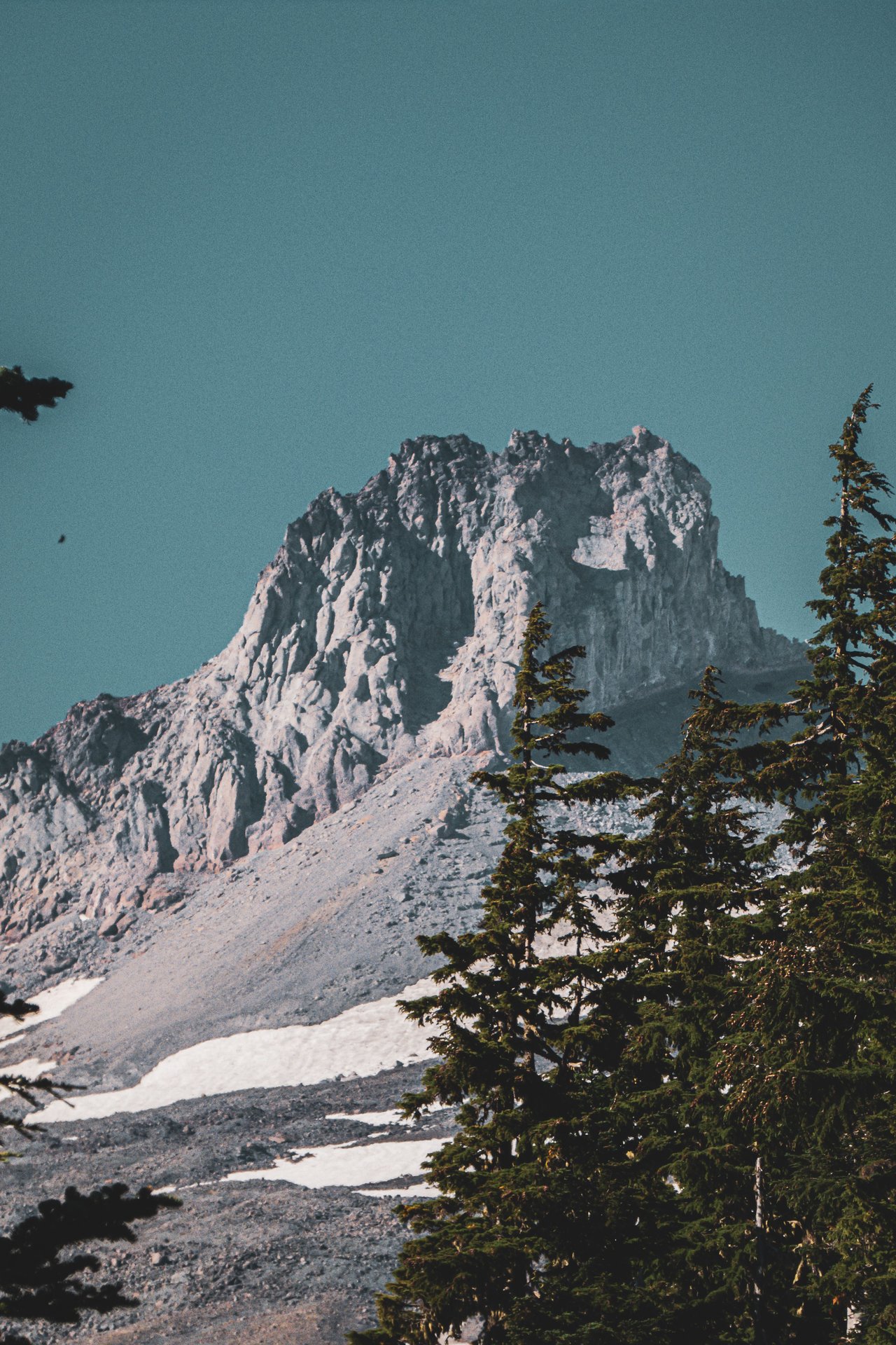 Rocky mountain peak with lingering snow and evergreen trees beneath a clear sky.