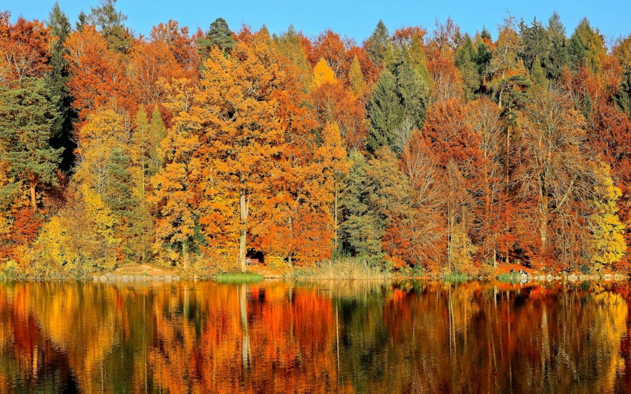 5 Budget-Friendly Home Improvement Projects Perfect to Tackle This Fall