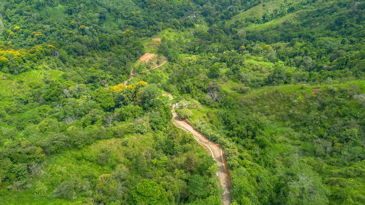 60 Hectares in Platanillo 