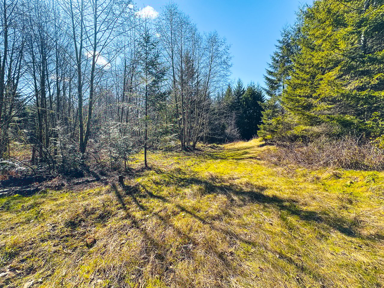 Marion Woods - Auction