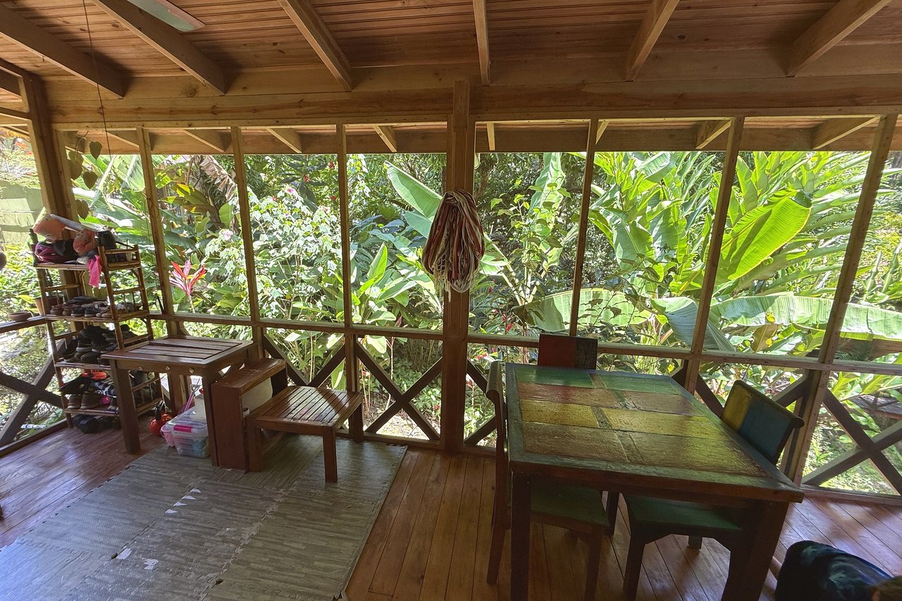  Gorgeous Jungle Hotel with 11 Beds including Owner/Manager Unit, Sparkling Pool & River Setting in Ojochal Costa Rica