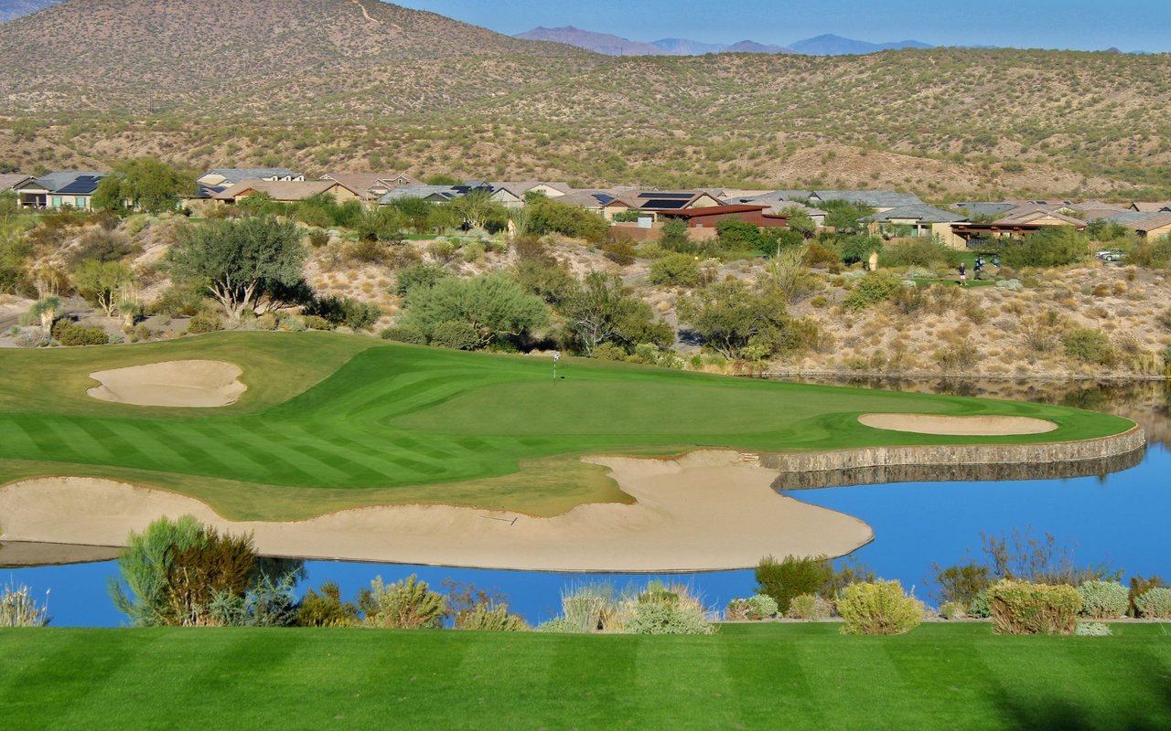 Grayhawk